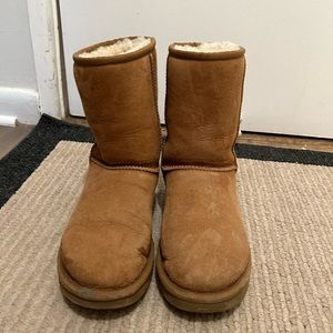 Classic Short Ugg Boot - Chestnut